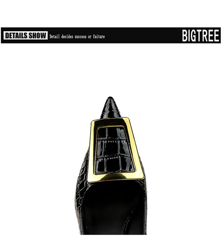 Slim Shallow Mouth Pointed Metal Female High Heel