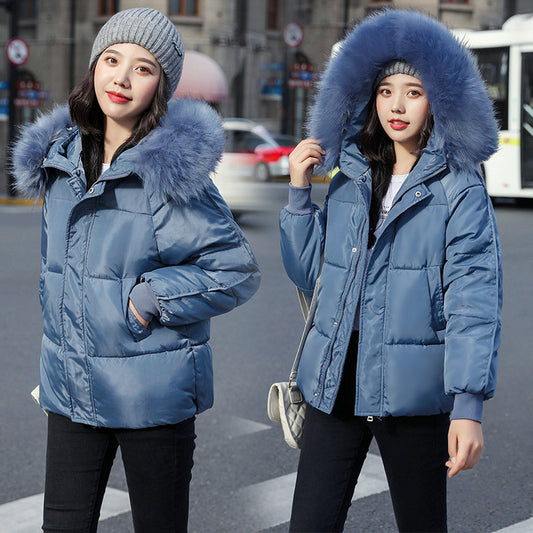 Large Fur Collar Thick Padded Jacket Down Women Short Slim Fit